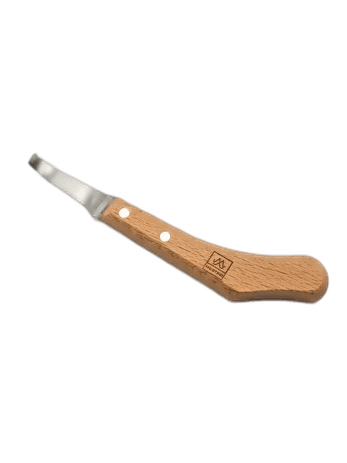 Gubia