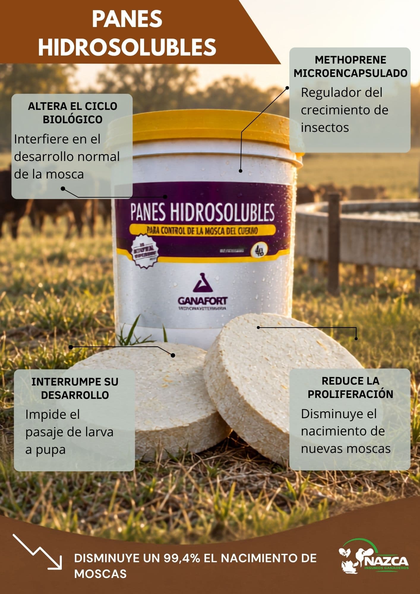 Panes Hidrosolubles