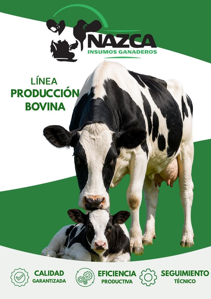 Tapa del catálogo Producción Bovina